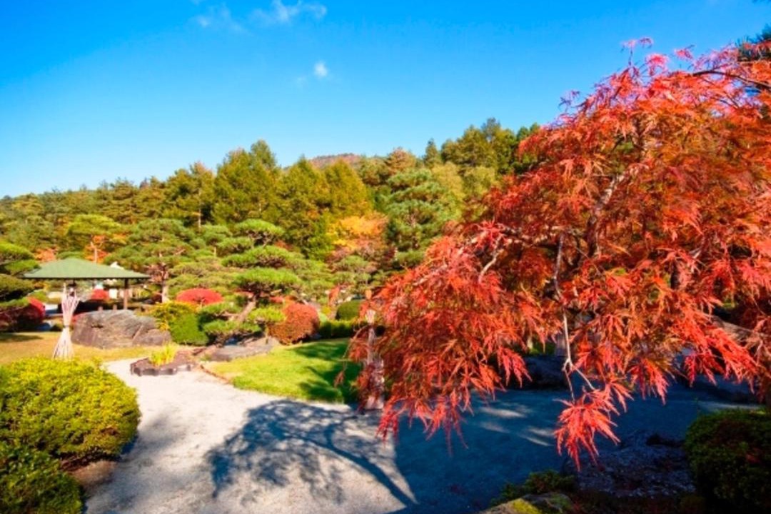 Photo of Others in Fujiyoshida