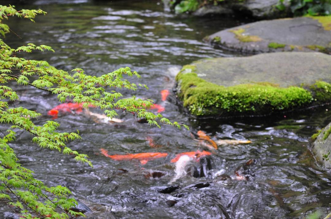 Photo of Others in Yumoto