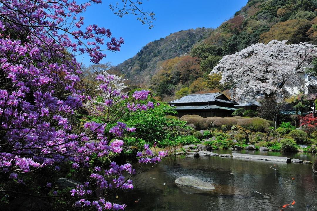 Photo of Others in Yumoto