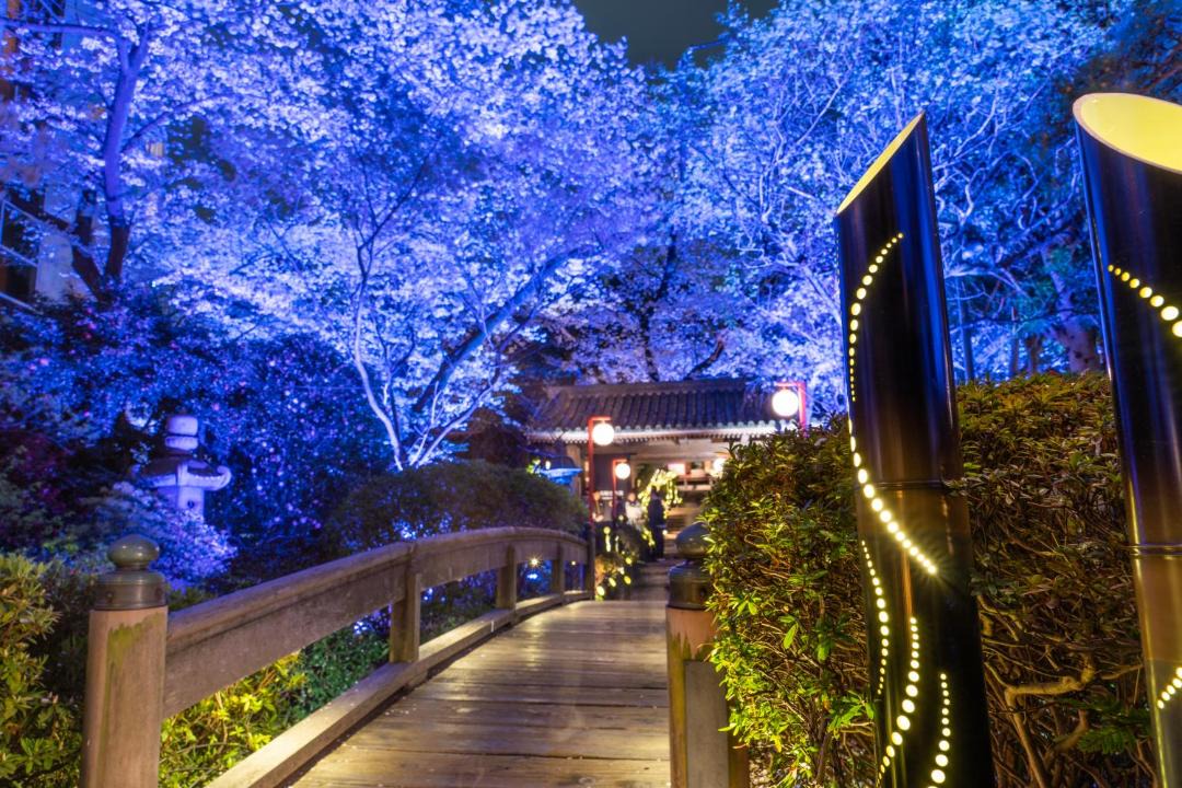 Photo of Others in Takanawa