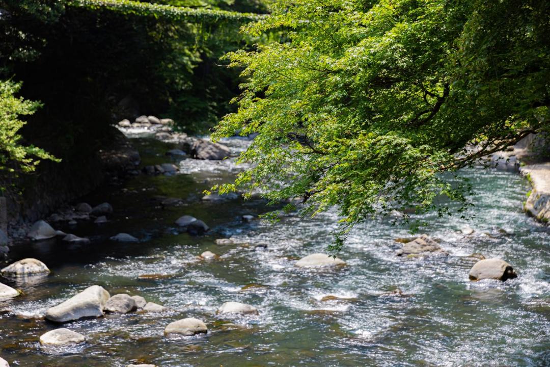 Photo of Others in Tounosawa