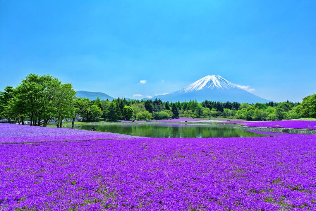 Photo of Others in Fujikawaguchiko