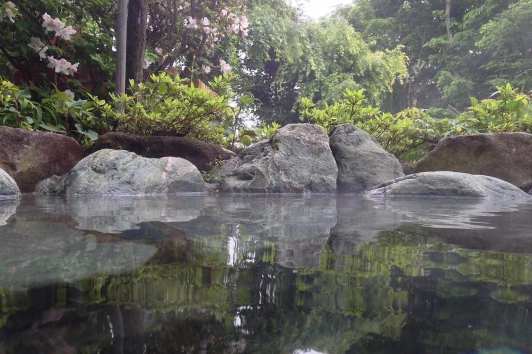Photo of Others in Hakone