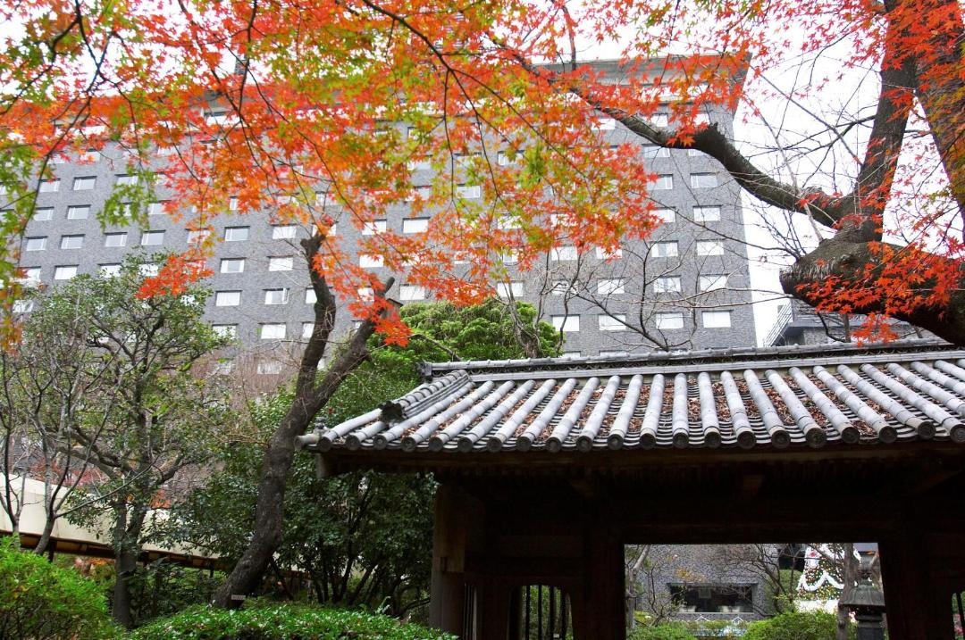 Photo of Others in Takanawa