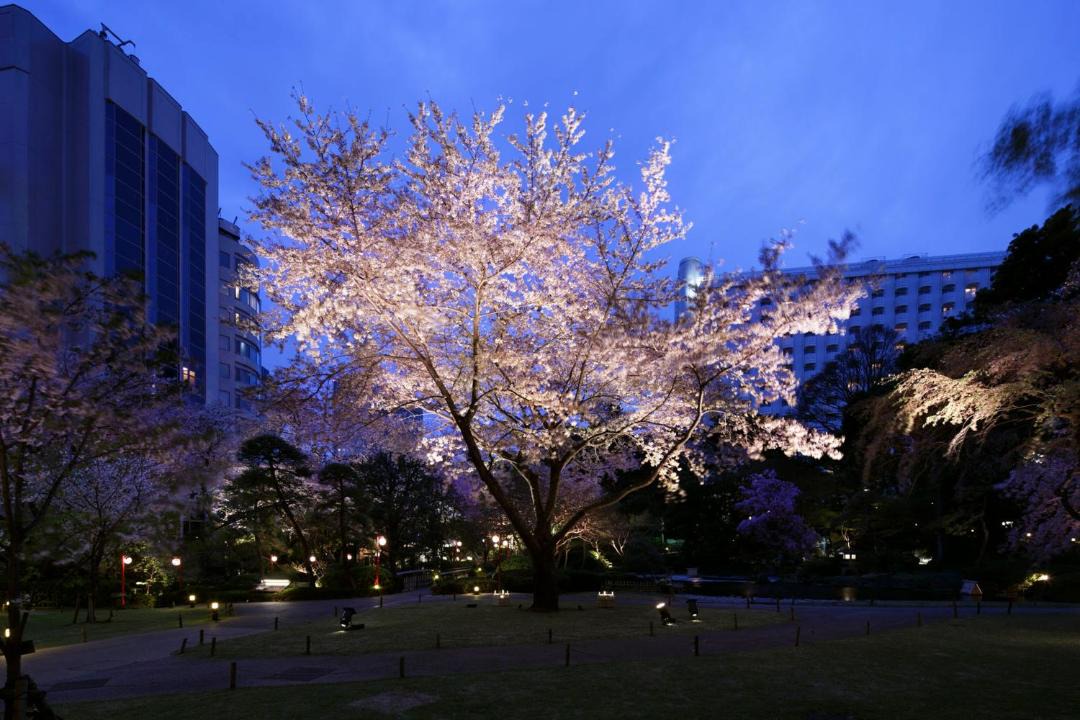 Photo of Others in Takanawa