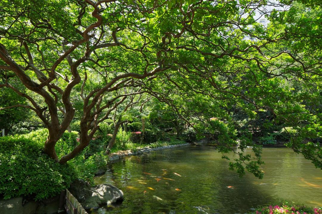 Photo of Others in Takanawa