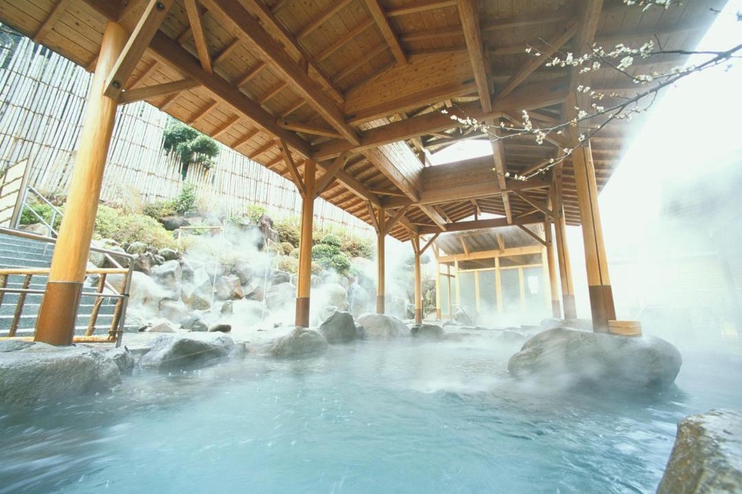 Photo of Others in Hakone Hot Springs