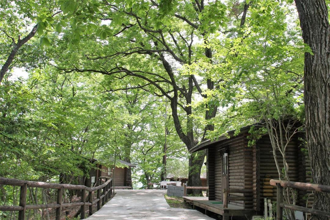 Photo of Others in Tokigawa-machi
