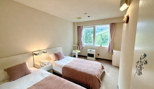 Basic Double or Twin Room
