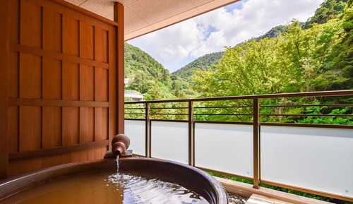 Deluxe Room with Tatami Area and Open-air Bath-D