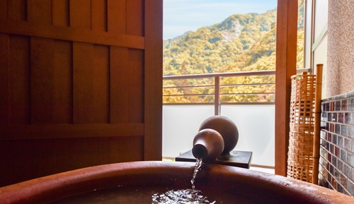 Superior Room with Tatami Floor and Open-air Bath (C)