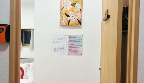 Asakusa hanabi II Comfort  Double  Room 201