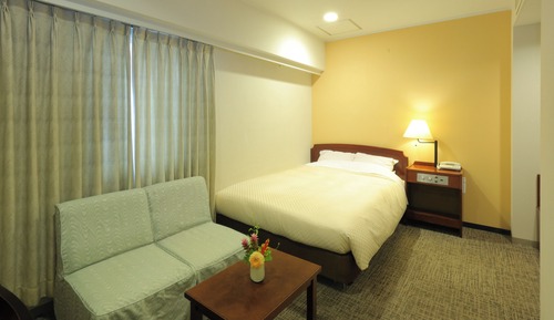 Standard Double Room, 1 Bedroom, Non Smoking