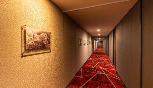 Top Floor (Godzilla Floor) Double with Breakfast, Non Smoking