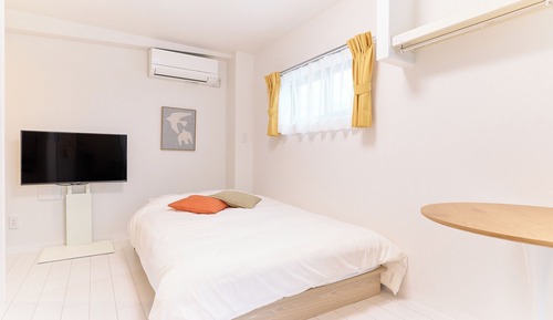 Apartment, Non Smoking (102)