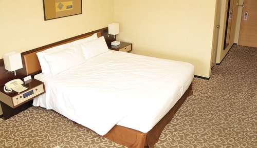 Superior Double Room, Non Smoking, Single Use