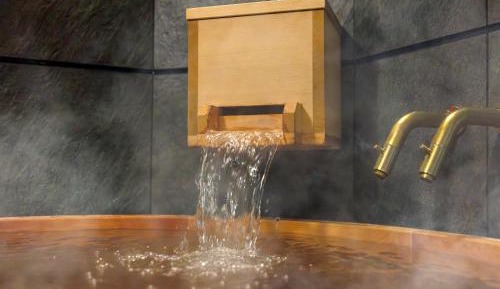 [B] 2 Queen + 3 Single + Sofa / hot spring bath and sauna (No pets allowed)