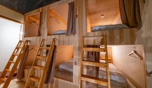 Bunk Bed in Mixed Dormitory Room