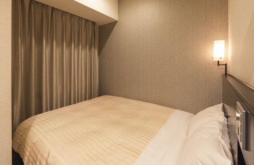 Minato Hotel | Sotetsu Fresa Inn Shimbashi Hibiyaguchi