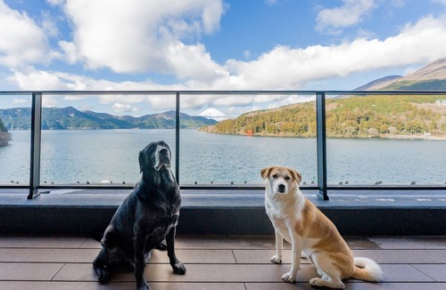 Hakone Hotel | Rakuten STAY FUJIMI TERRACE Hakone Ashinoko Dog Friendly Suite/Ashigarashimogun Kanagawa