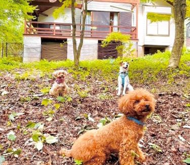 Kobuchisawacho House | Yatsugatake Villa FOREST&DOG - Vacation STAY 53545v