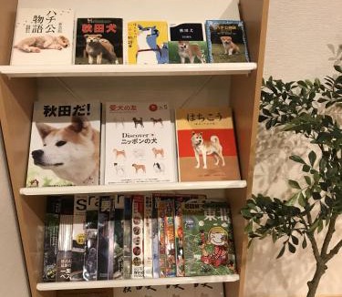 Samurai District House | Enishi/Samurai residence where Akita dog lives