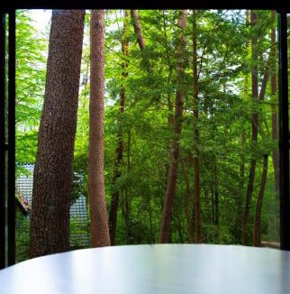 Azumino Apartment | 貸切温泉とガレージのある 安曇野の一棟貸しヴィラ