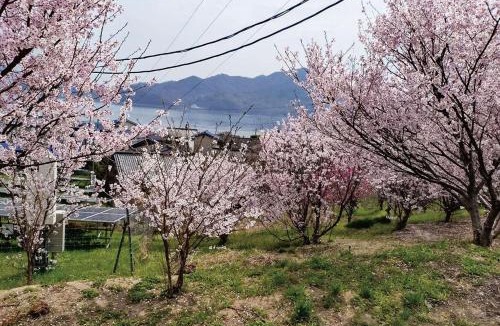 Momoshima House | Setouchi Hitotsuru HITOTSURU - Vacation STAY 13561v