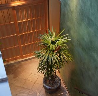 Tatsuno Hotel | 泊まれる発酵所 樽林-Tarurin-