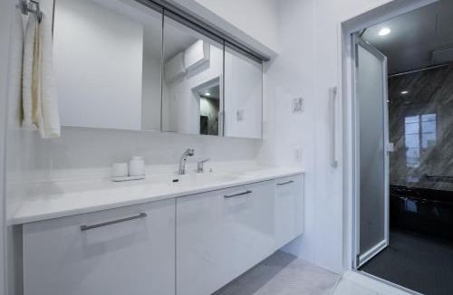 Nishiazabu Villa | Nishiazabu House 西麻布顶级三层电梯别墅-MT0476