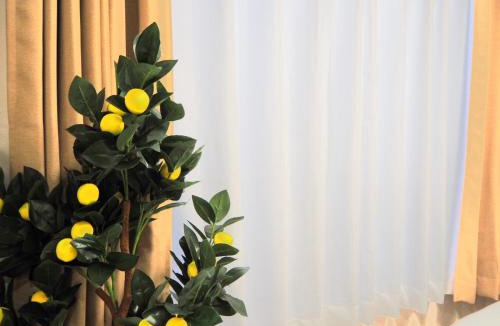 Taito Apartment | Asakusa Jellyne Private House