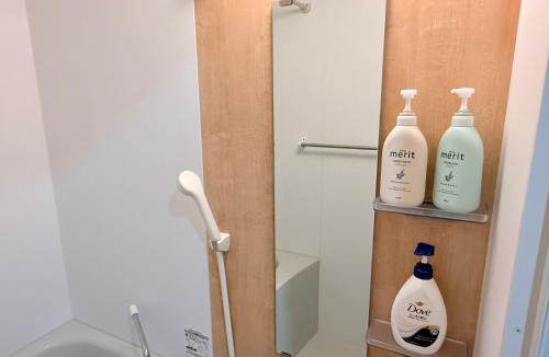 Yanagibashi Apartment | aYADO 浅草橋 301 no lift