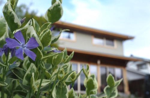 Ikeda House | CANOA GUEST HOUSE B room- Vacation STAY 47218v