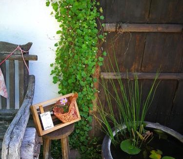 Ichikawamisato House | KuuHouse - Vacation STAY 84430