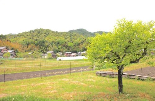 Yosa-gun House | Vacation House near Amanohashidate opened in 2025