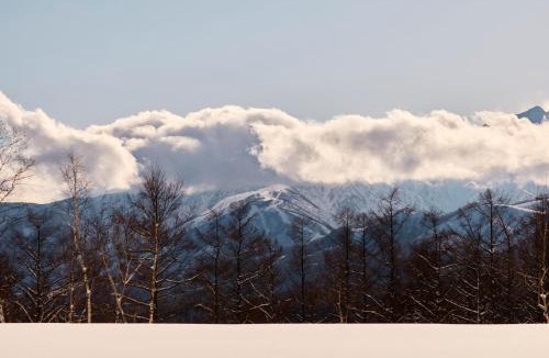 Otari-mura Cabin | Canopy Lodge - Boutique Lodge at Hakuba Cortina