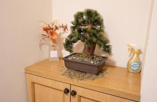Sakura Apartment | 402号室貸切！2DK/京成佐倉駅徒歩3分・電車成田空港20分/2部屋/厨房/風呂/畳/家具綺麗！