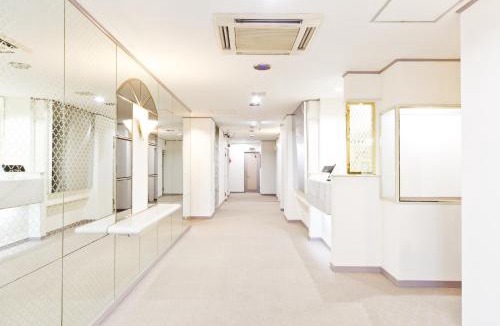 Kabukicho Hotel | Shinjuku East Hotel