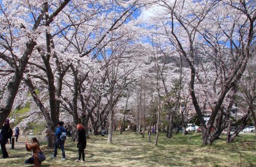 Fujikawaguchiko House | Cottage Pastorale