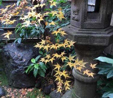 Central Kyoto House | Guest House Hitsujian