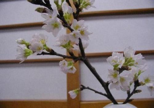 Wakaba Ryokan/Vacation STAY 29362