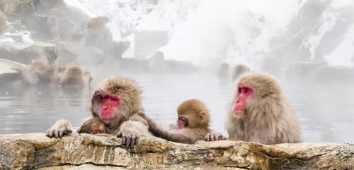 Nishihoppo Onsen HOTEL