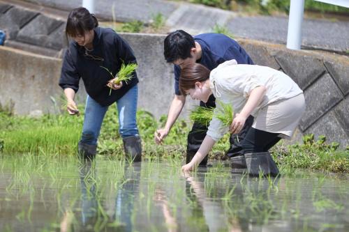 わたや Roopt葉山上山口 棚田散策付き 農作業体験と三浦半島の食を楽しむ一棟貸し古民家宿