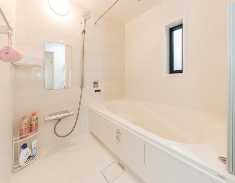 Seiun Ryokan Tokyo Entire House for 10 Four Minute Walk to Keisei Koiwa Station