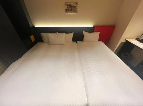 Nplus HOTEL Higashikanda-akihabara